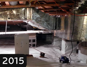 2015 started with a Moldy Crawlspace